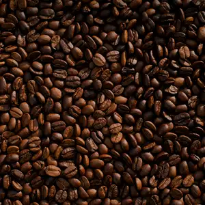 Grains de café verts et torréfiés côte à côte sur le comptoir